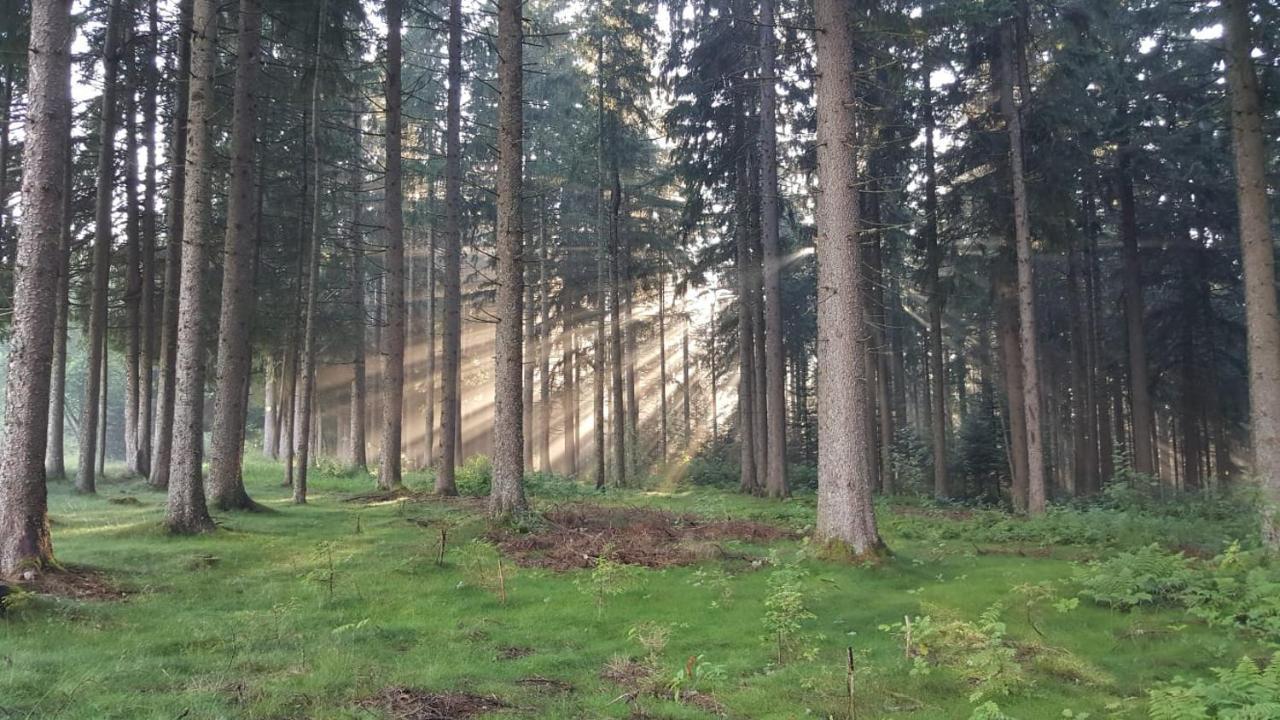 Apartmán Kuckuckstraum Schönwalde Exteriér fotografie